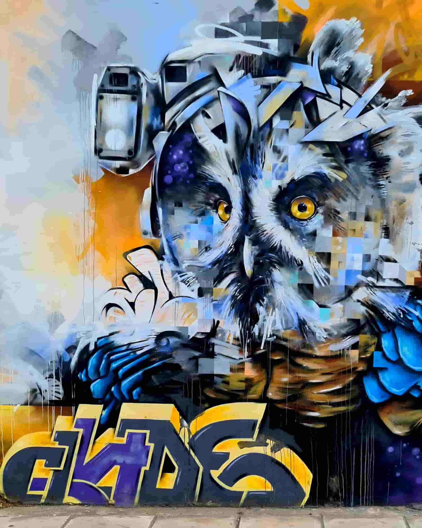 Street Art Photography 16