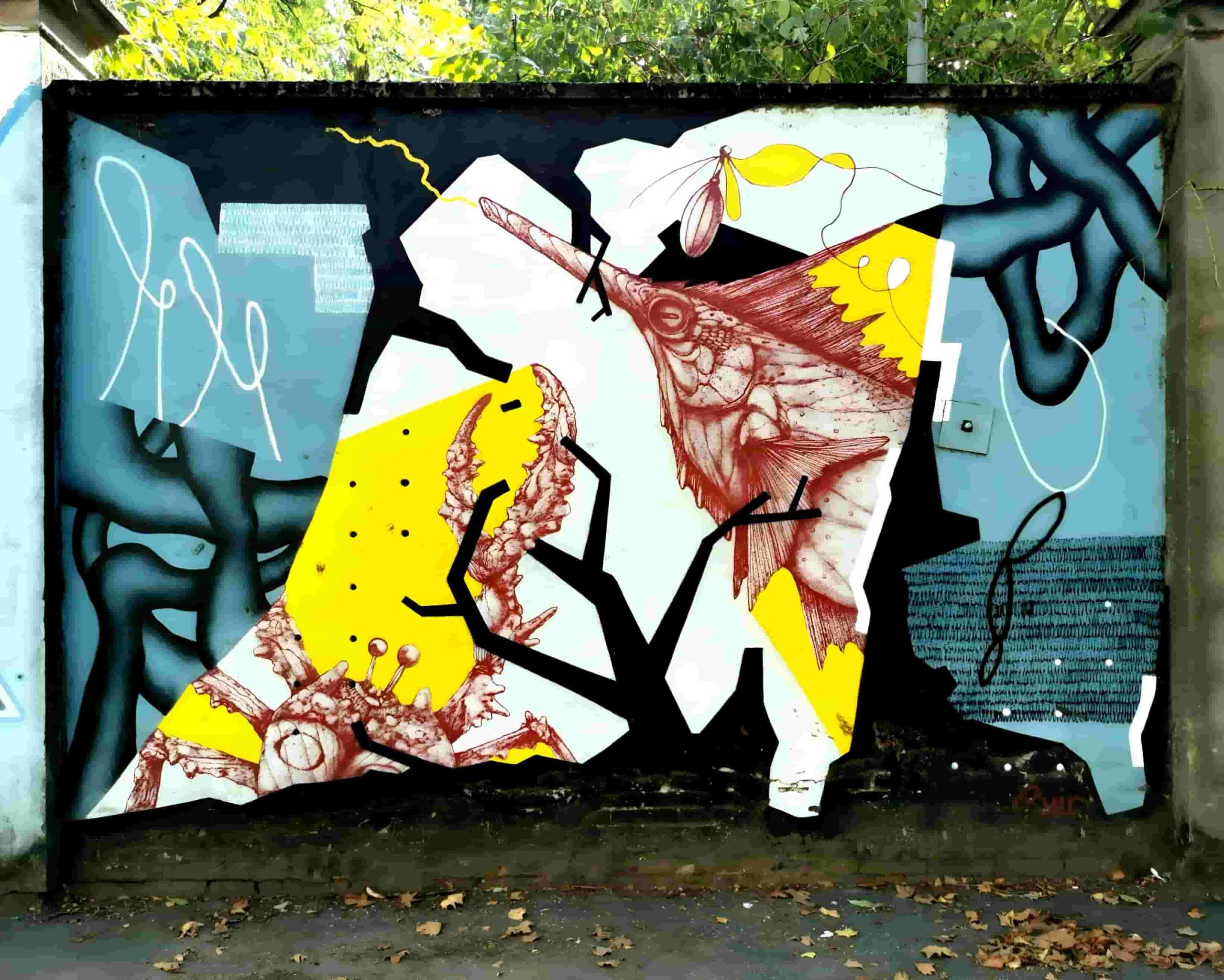 Street Art Photography 46