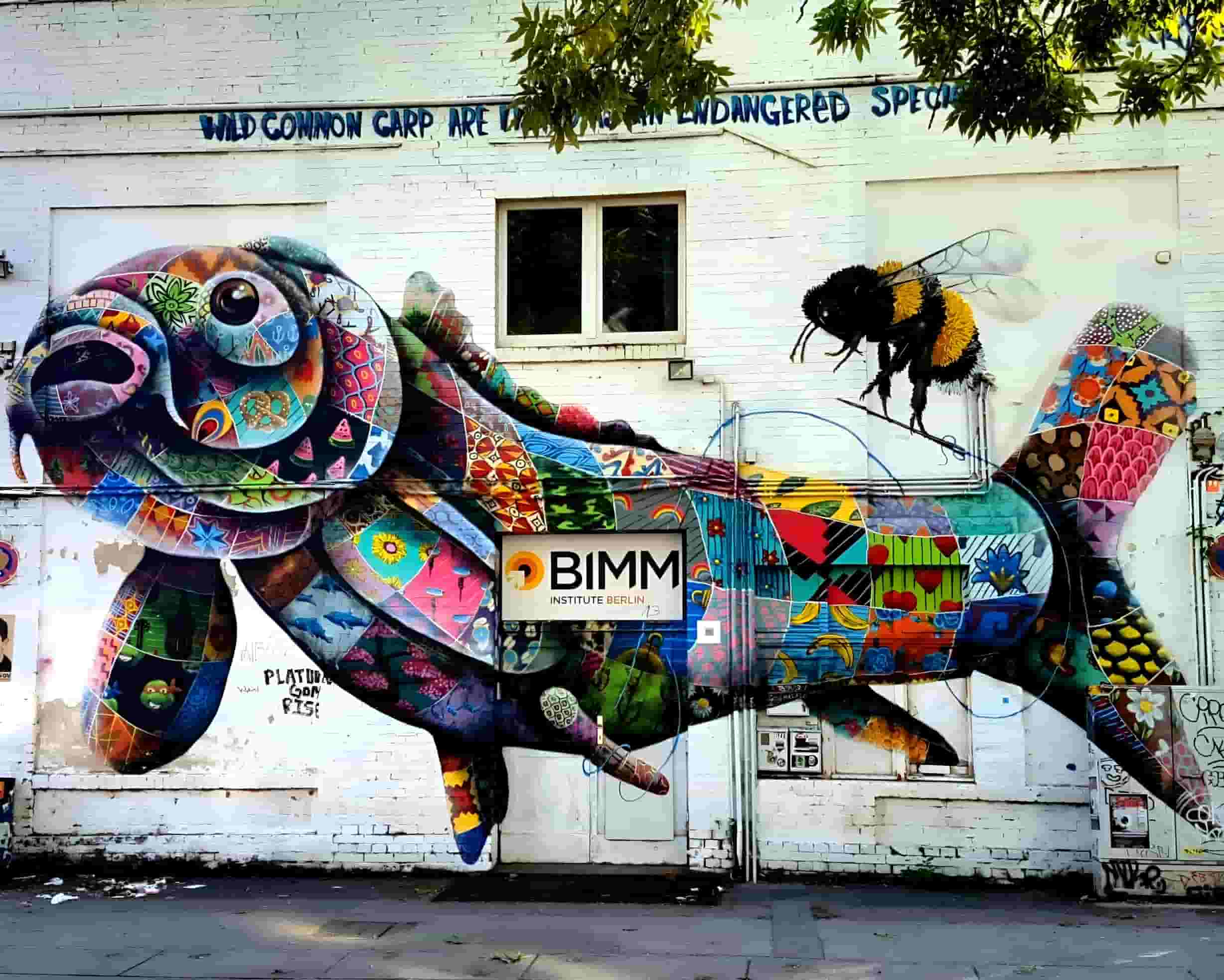 Street Art Photography 48