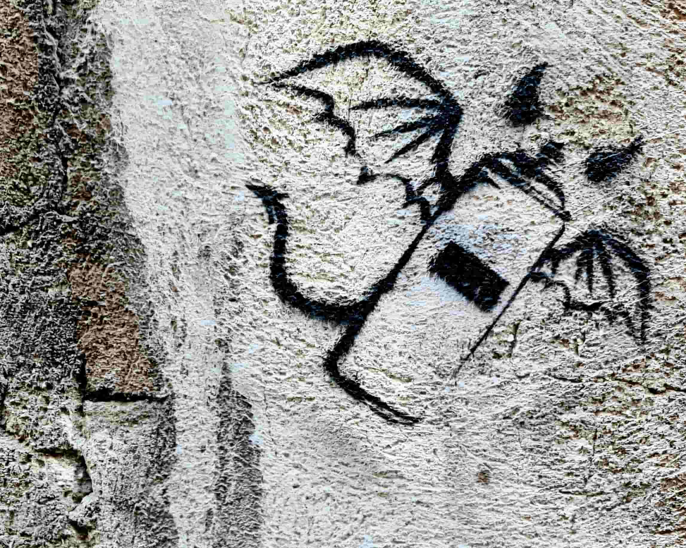 Street Art Photography 92