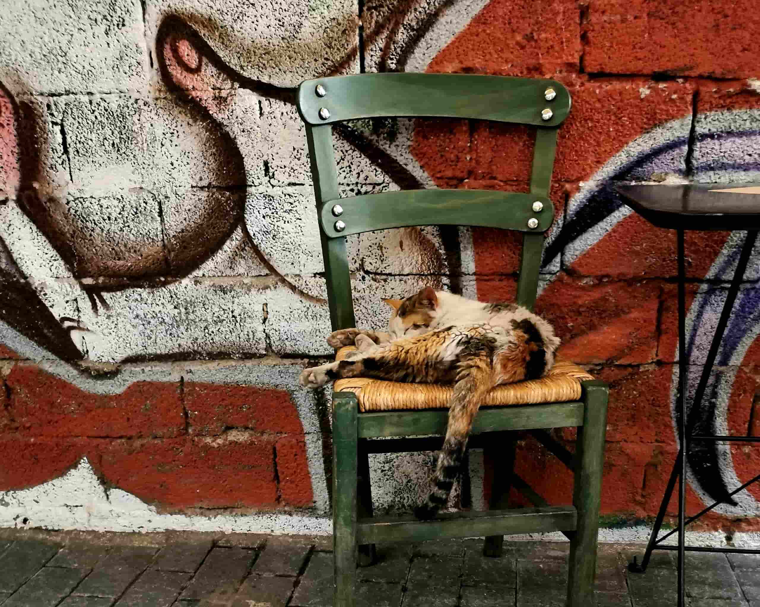 Street Art Photography 120